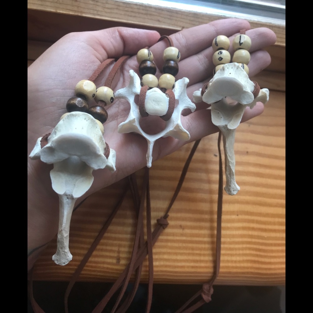 Vertebrae Necklace